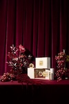 Salon Broscheová 2016 (Česká Lípa)